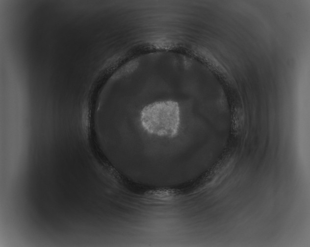 X0000100920639200807151223