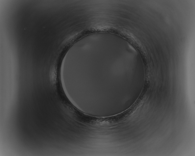 X0000100920640200807151223