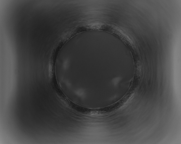 X0000100920641200807151223