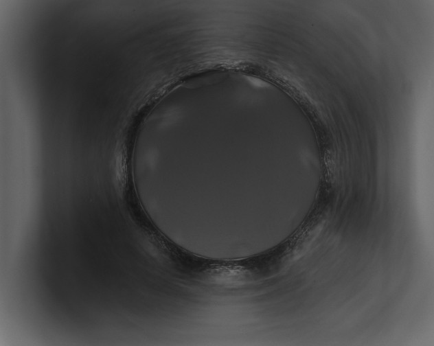 X0000100920642200807151223