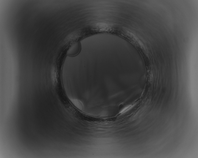 X0000100920643200807151223