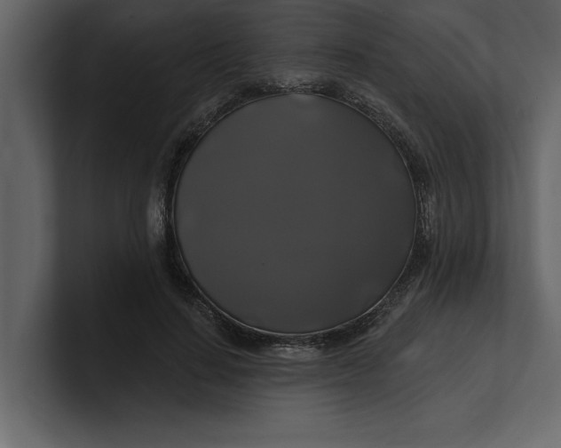 X0000100920644200807151223