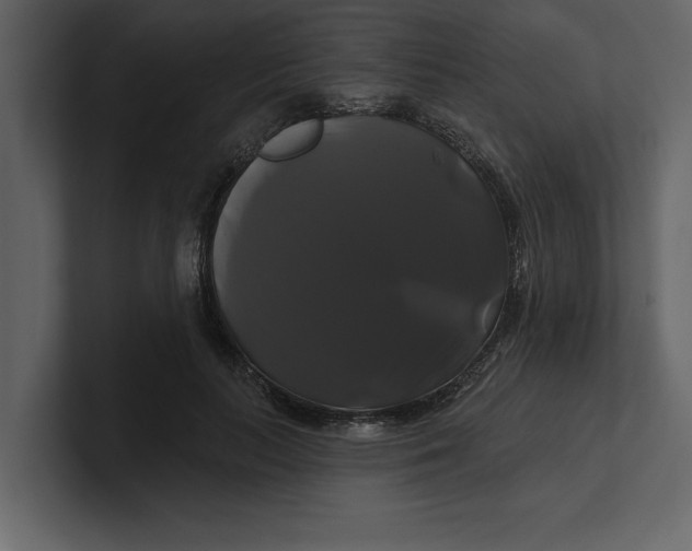 X0000100920647200807151223