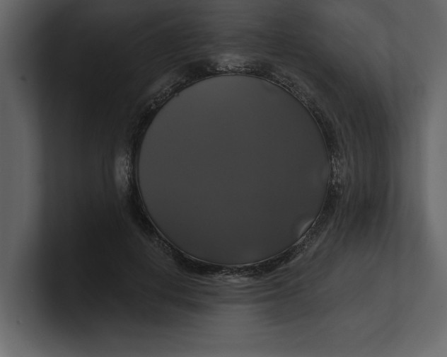 X0000100920648200807151223