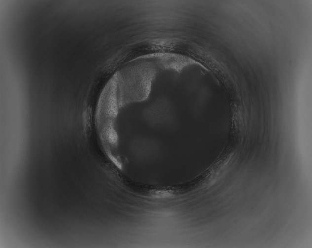 X0000100920649200807151223