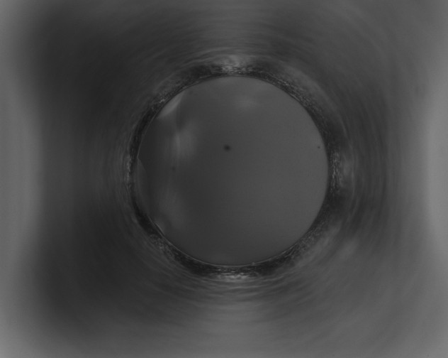 X0000100920650200807151223