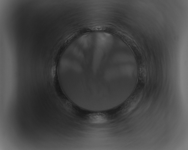 X0000100920652200807151223