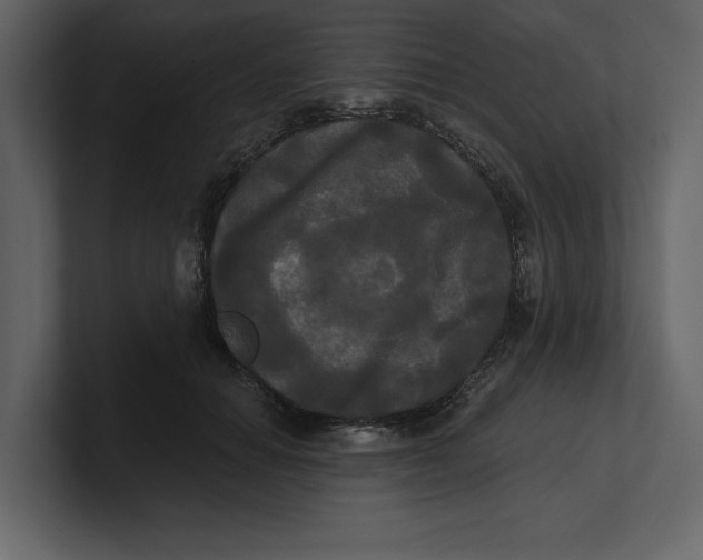 X0000100920654200807151223