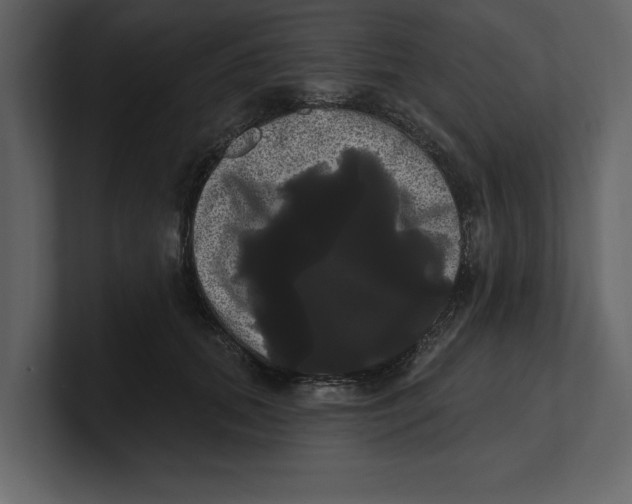 X0000100920655200807151223