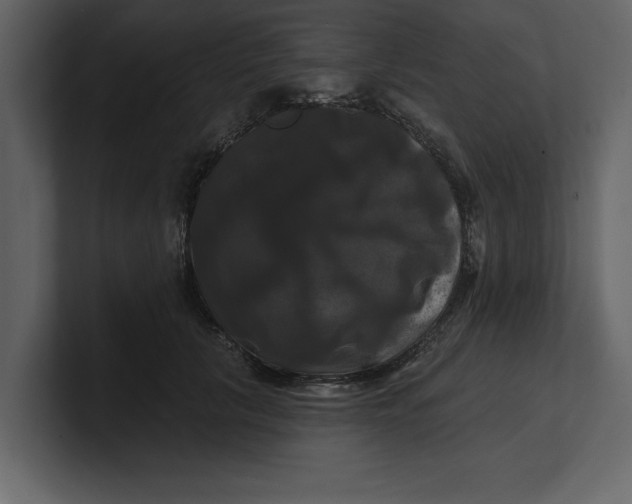 X0000100920657200807151223