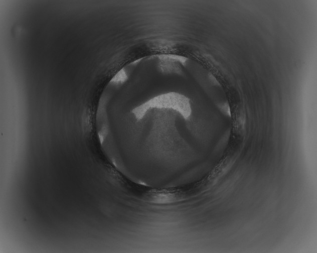 X0000100920658200807151223