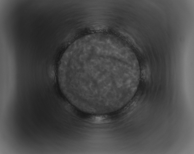 X0000100920662200807151223