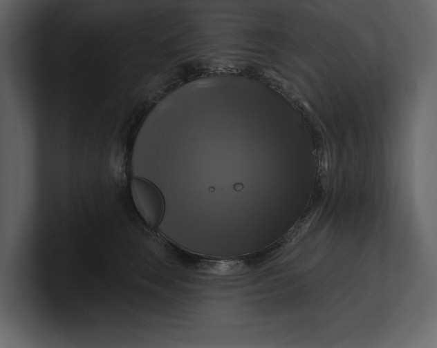 X0000100920663200807151223