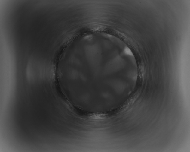 X0000100920664200807151223