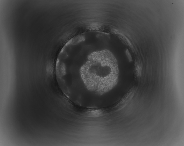 X0000100920665200807151223