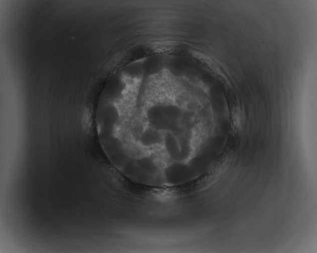 X0000100920667200807151223