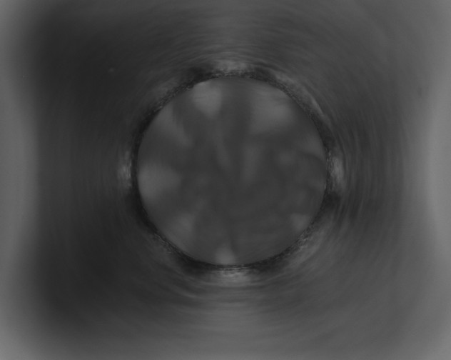 X0000100920668200807151223