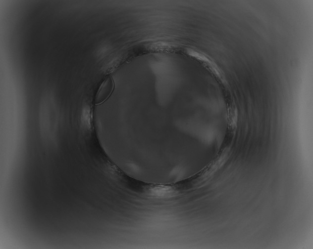 X0000100920669200807151223