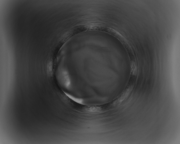 X0000100920670200807151223