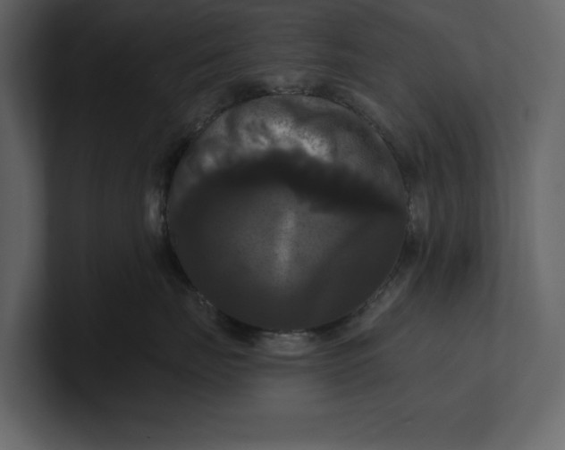 X0000100920671200807151223