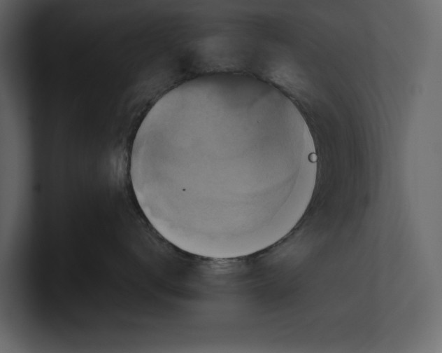 X0000100920672200807151223
