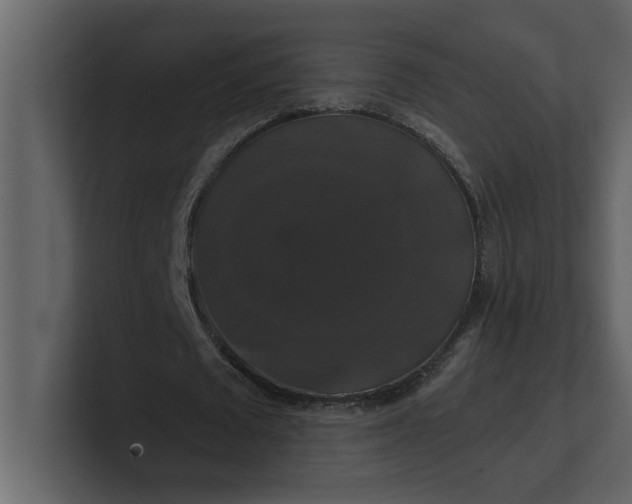 X0000100920673200807151223