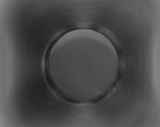 X0000100920674200807151223