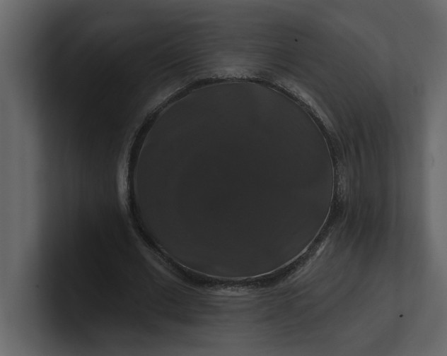 X0000100920677200807151222