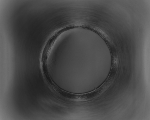 X0000100920678200807151222