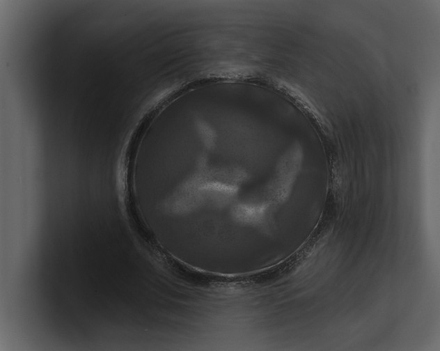 X0000100920679200807151222