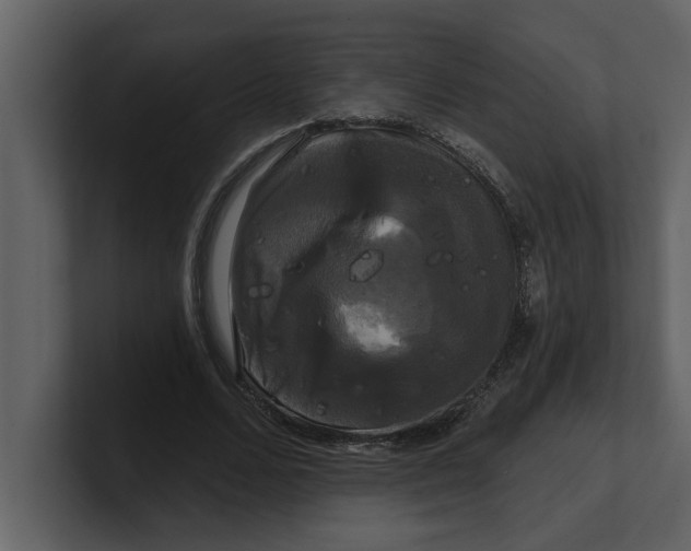 X0000100920680200807151222