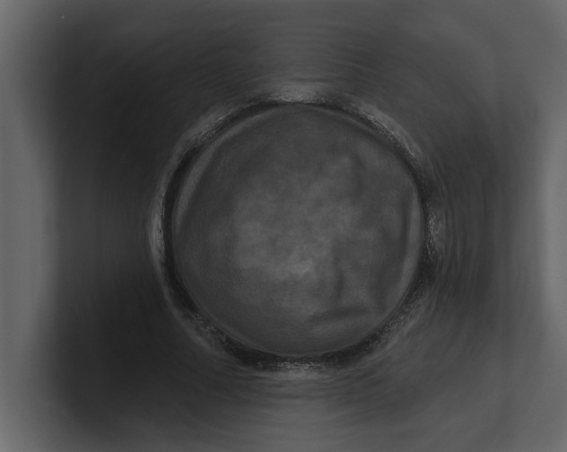 X0000100920682200807151222