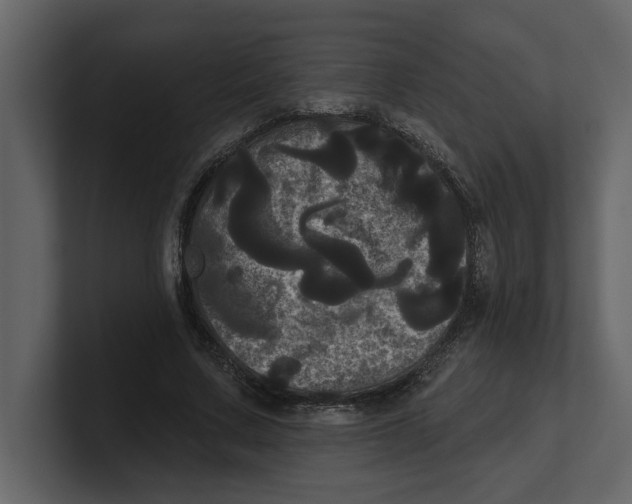 X0000100920683200807151222