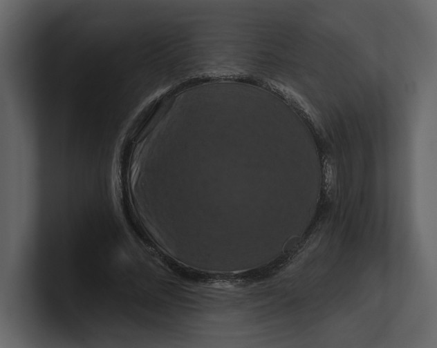 X0000100920684200807151222