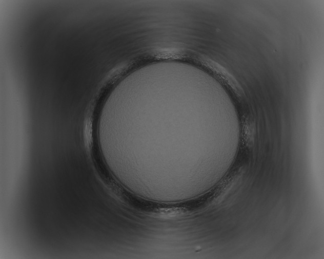 X0000100920686200807151222