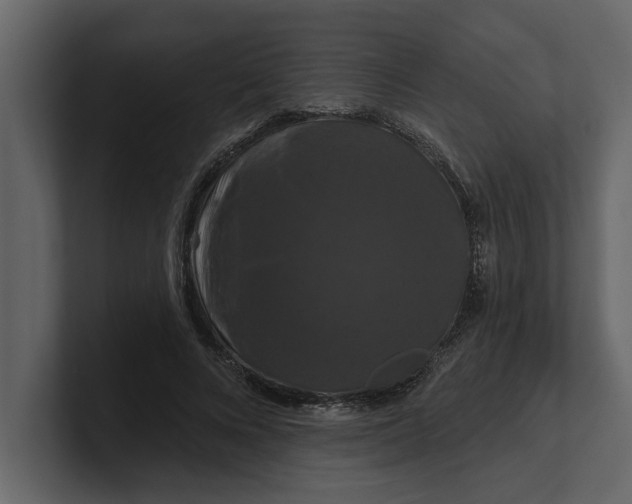 X0000100920688200807151222