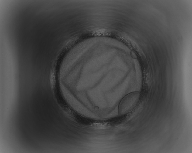 X0000100920690200807151222