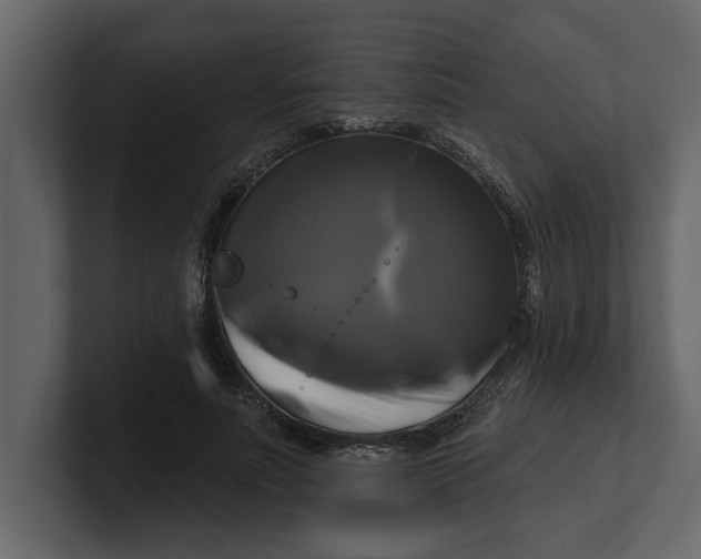 X0000100920691200807151222