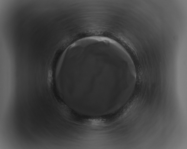 X0000100920693200807151222