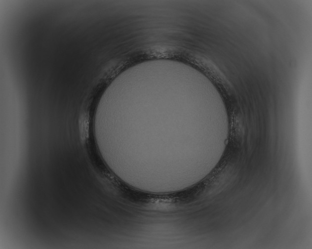 X0000100920694200807151222