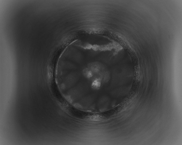 X0000100920695200807151222