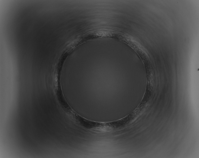 X0000100920696200807151222