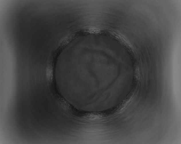 X0000100920697200807151222