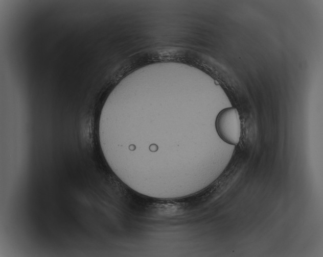 X0000100920698200807151222