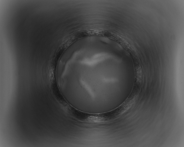 X0000100920699200807151222