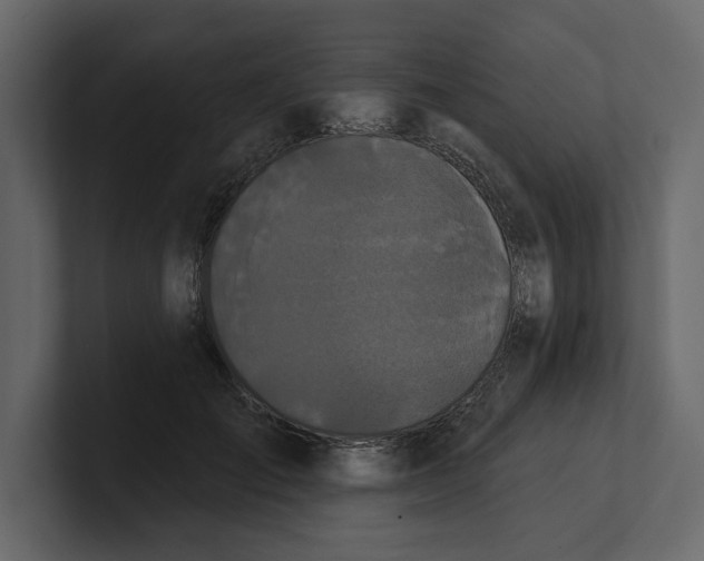 X0000100920701200807151222