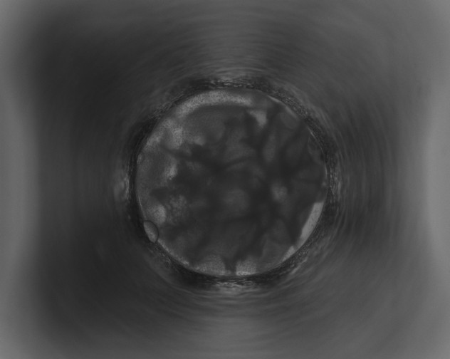 X0000100920703200807151222