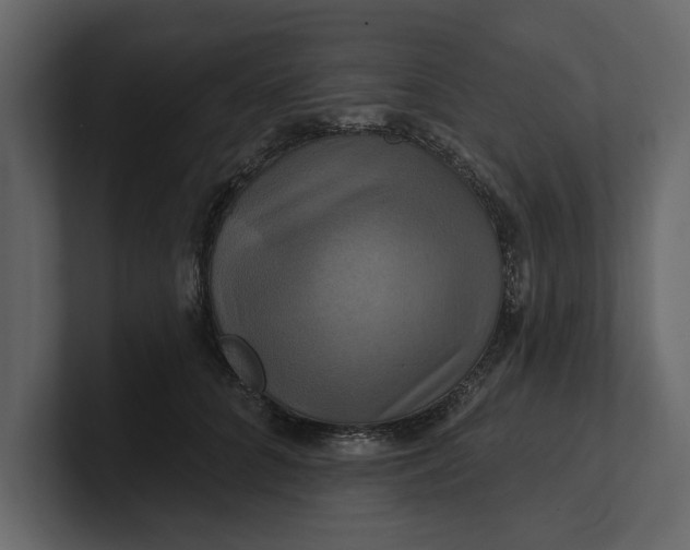 X0000100920704200807151222