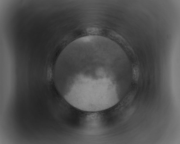 X0000100920705200807151222