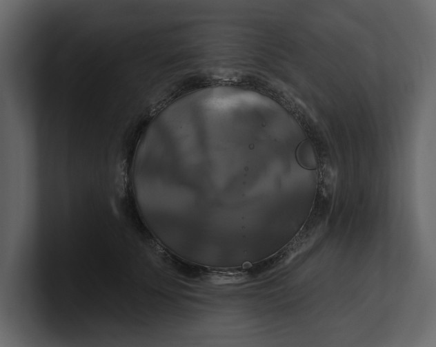 X0000100920707200807151222